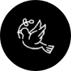 dove