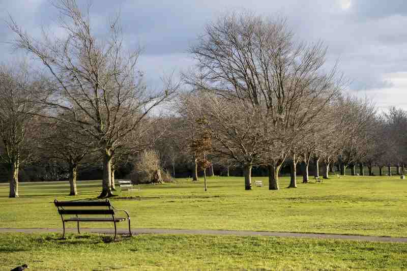 Clifton Down Park