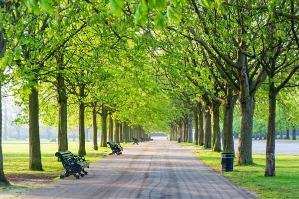 Green park